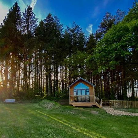 Cabin In The Woods - 1 Bedroom Lodge - Kilgetty Stepaside  Luaran gambar