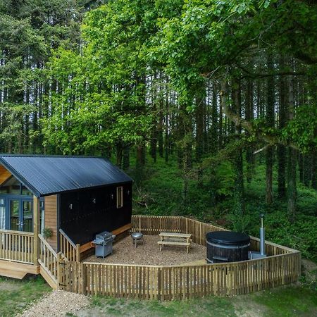 Cabin In The Woods - 1 Bedroom Lodge - Kilgetty Stepaside  Luaran gambar