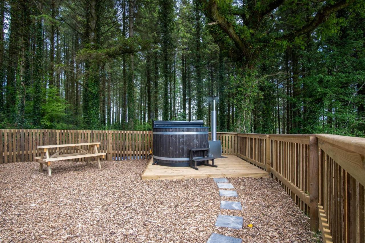 Cabin In The Woods - 1 Bedroom Lodge - Kilgetty Stepaside  Luaran gambar