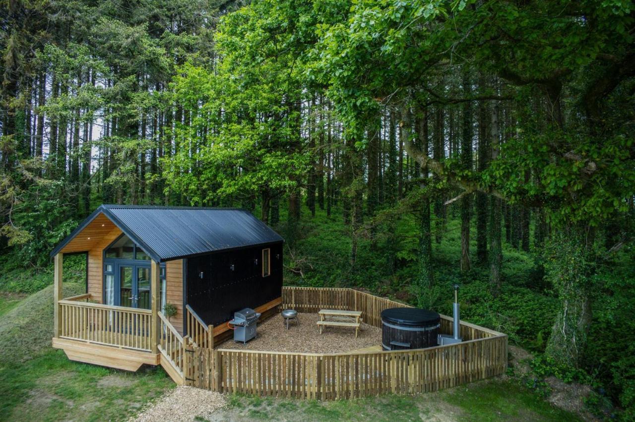 Cabin In The Woods - 1 Bedroom Lodge - Kilgetty Stepaside  Luaran gambar