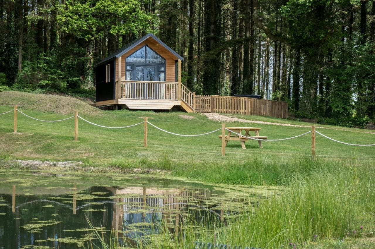 Cabin In The Woods - 1 Bedroom Lodge - Kilgetty Stepaside  Luaran gambar