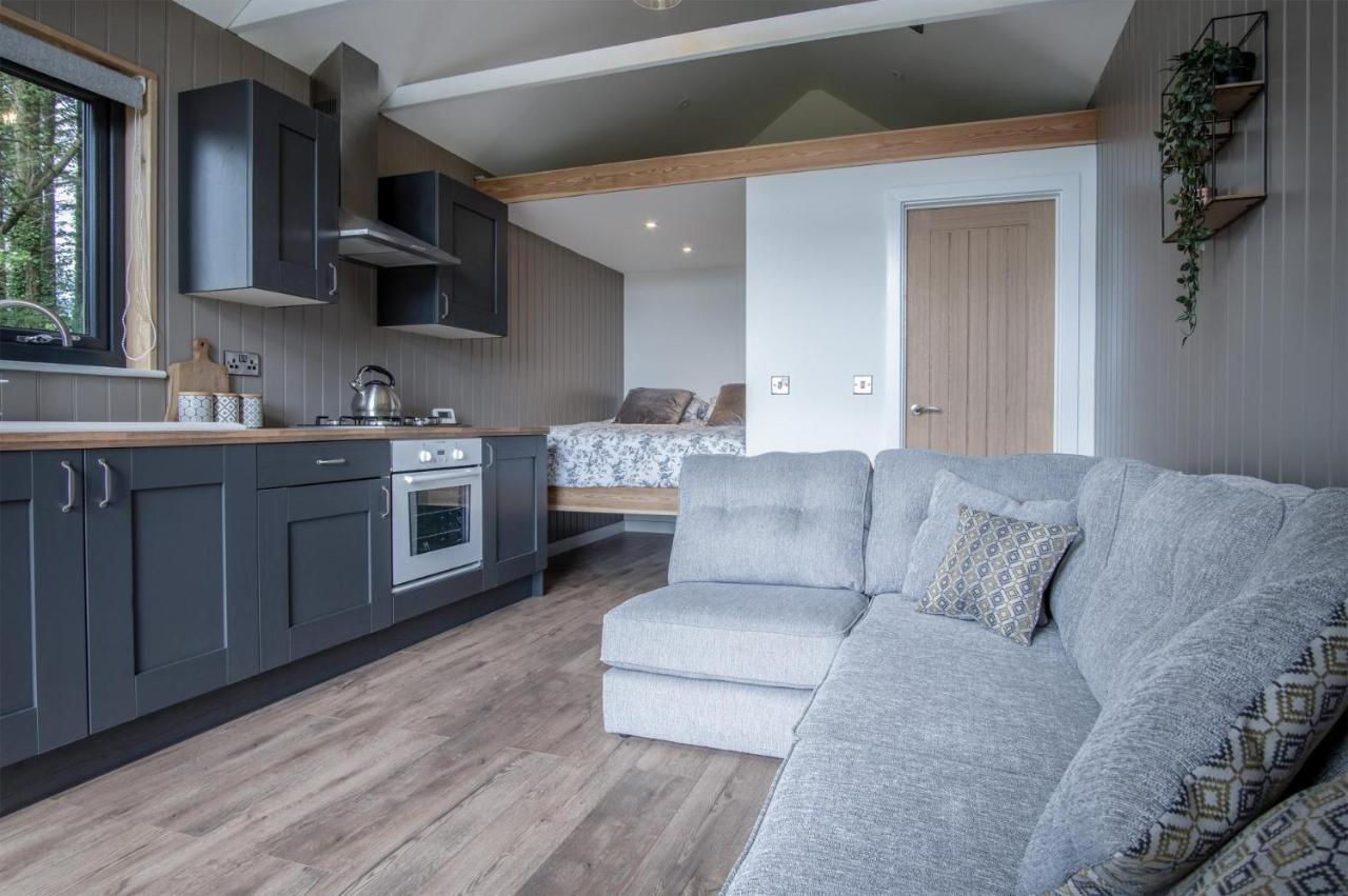 Cabin In The Woods - 1 Bedroom Lodge - Kilgetty Stepaside  Luaran gambar