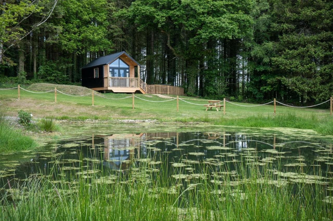 Cabin In The Woods - 1 Bedroom Lodge - Kilgetty Stepaside  Luaran gambar