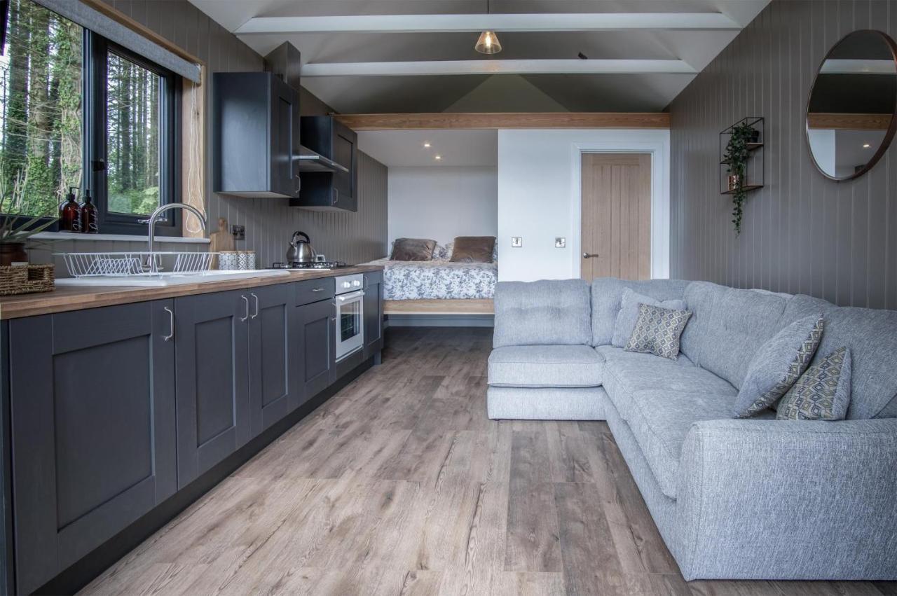 Cabin In The Woods - 1 Bedroom Lodge - Kilgetty Stepaside  Luaran gambar