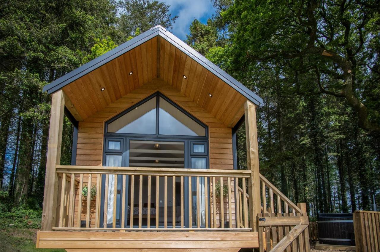 Cabin In The Woods - 1 Bedroom Lodge - Kilgetty Stepaside  Luaran gambar