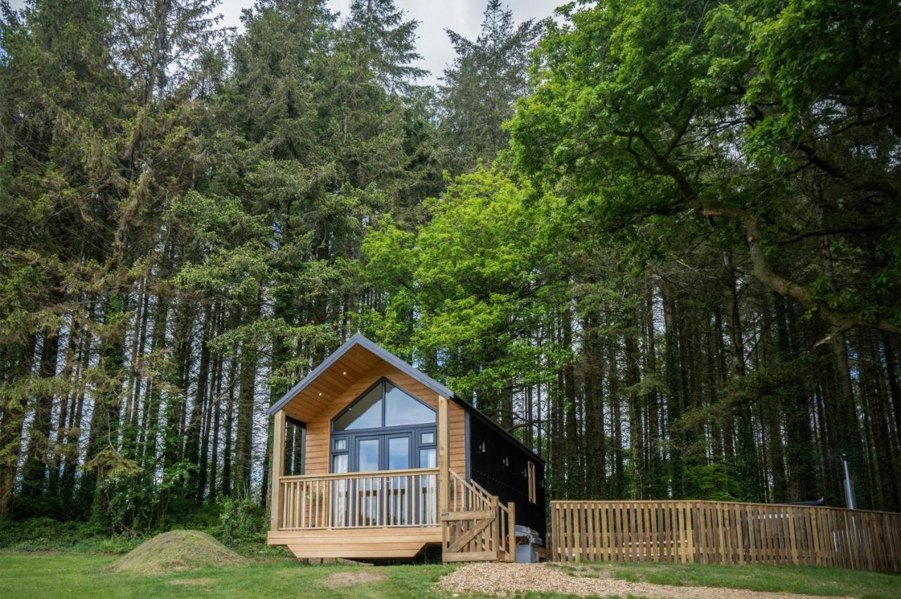 Cabin In The Woods - 1 Bedroom Lodge - Kilgetty Stepaside  Luaran gambar