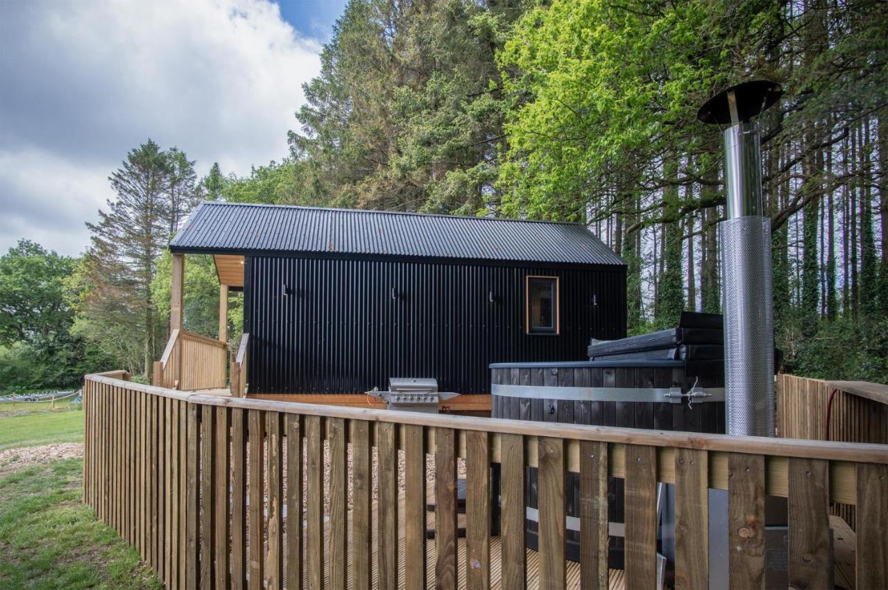 Cabin In The Woods - 1 Bedroom Lodge - Kilgetty Stepaside  Luaran gambar