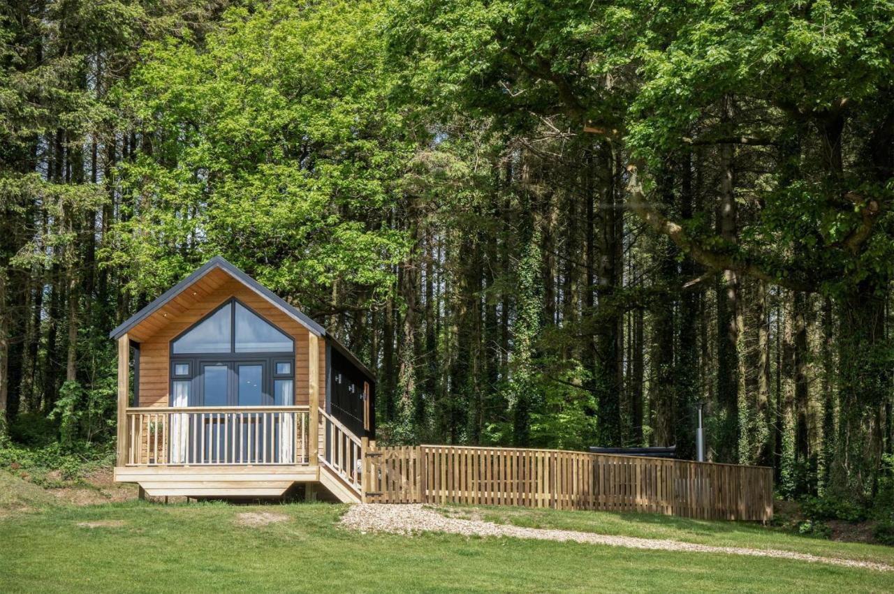 Cabin In The Woods - 1 Bedroom Lodge - Kilgetty Stepaside  Luaran gambar