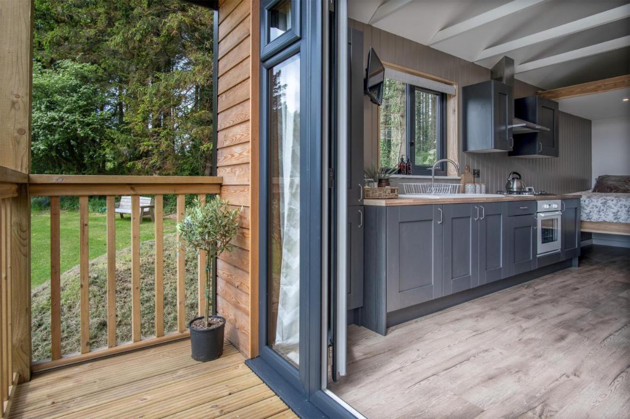 Cabin In The Woods - 1 Bedroom Lodge - Kilgetty Stepaside  Luaran gambar