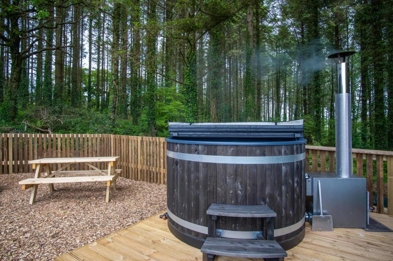 Cabin In The Woods - 1 Bedroom Lodge - Kilgetty Stepaside  Luaran gambar