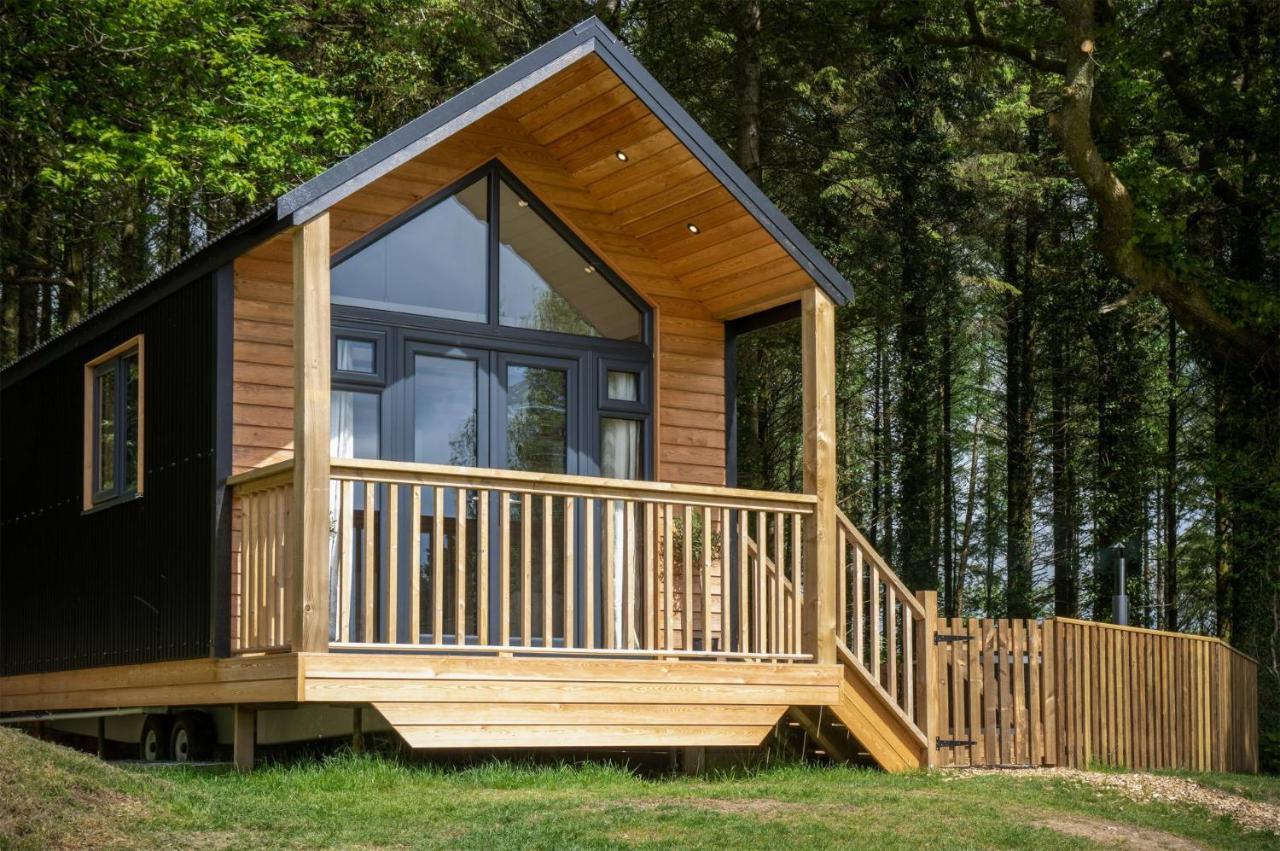 Cabin In The Woods - 1 Bedroom Lodge - Kilgetty Stepaside  Luaran gambar