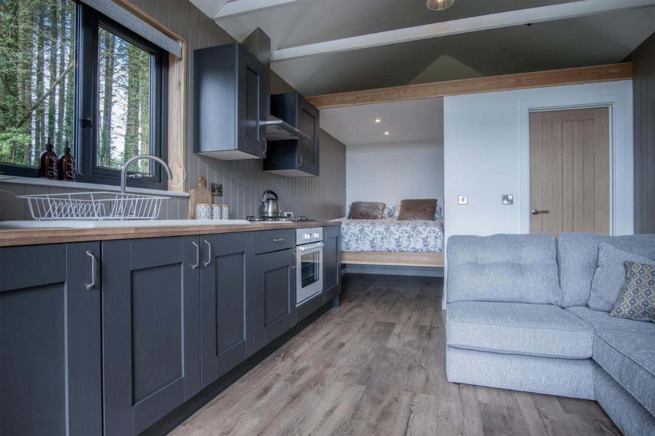 Cabin In The Woods - 1 Bedroom Lodge - Kilgetty Stepaside  Luaran gambar