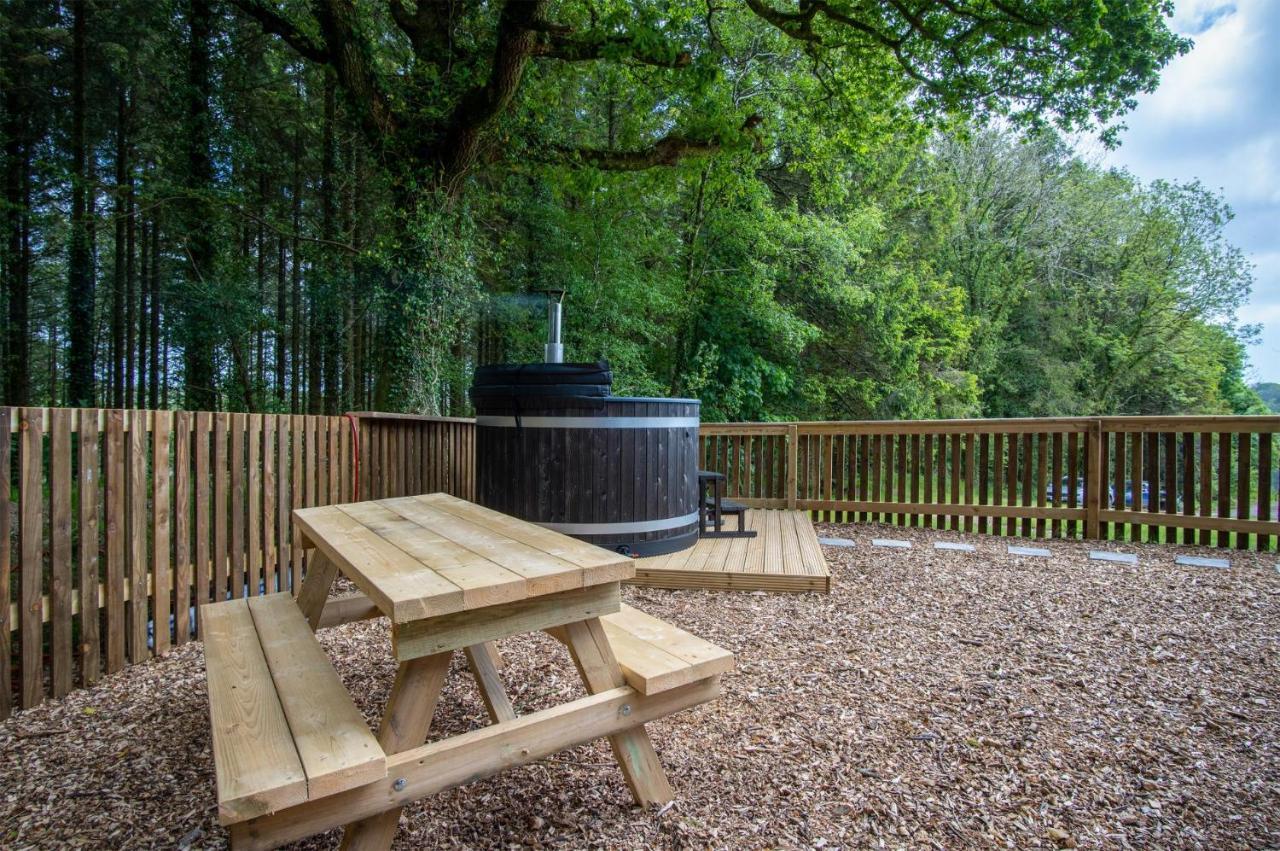 Cabin In The Woods - 1 Bedroom Lodge - Kilgetty Stepaside  Luaran gambar
