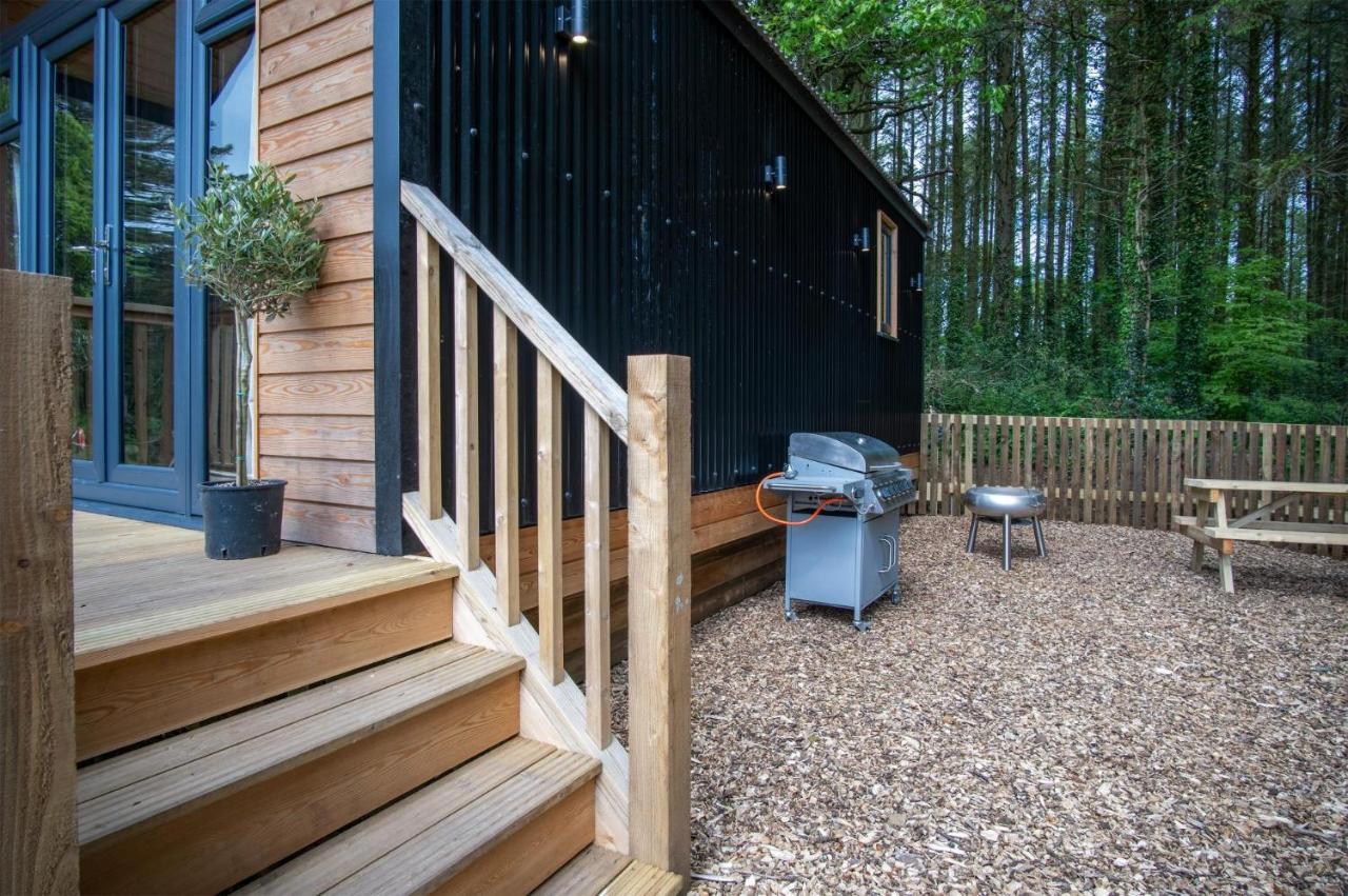 Cabin In The Woods - 1 Bedroom Lodge - Kilgetty Stepaside  Luaran gambar