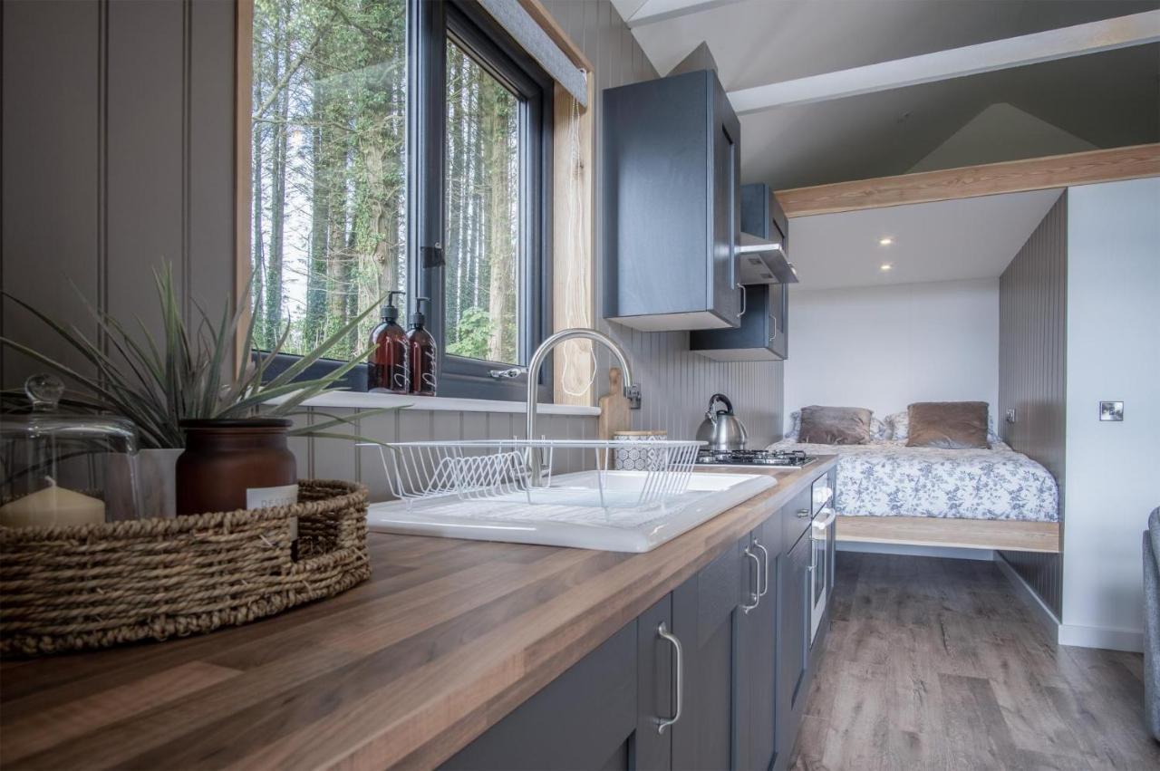 Cabin In The Woods - 1 Bedroom Lodge - Kilgetty Stepaside  Luaran gambar